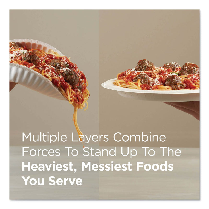 Dixie Pathways Soak Proof Shield Heavyweight Paper Plates, WiseSize, 8.5" dia, Green/Burgundy, 500/Carton