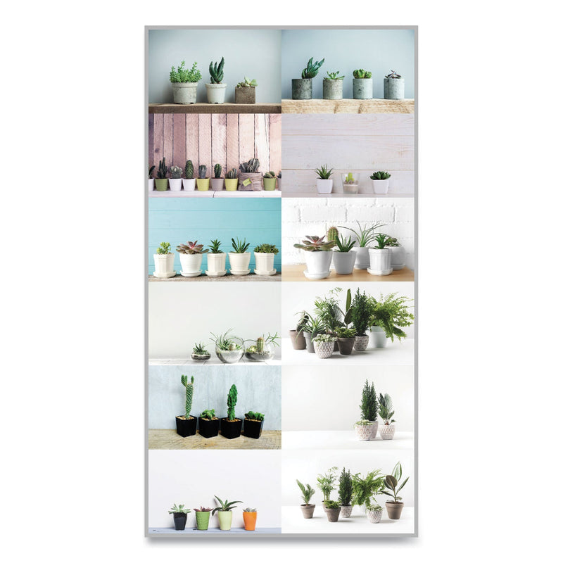 Blueline 12-Month Wall Calendar, Succulent Plants Photography, 12 x 17, White/Multicolor Sheets, 12-Month (Jan to Dec): 2023