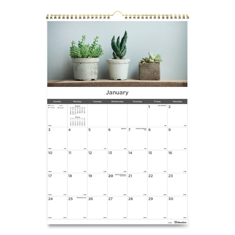 Blueline 12-Month Wall Calendar, Succulent Plants Photography, 12 x 17, White/Multicolor Sheets, 12-Month (Jan to Dec): 2023