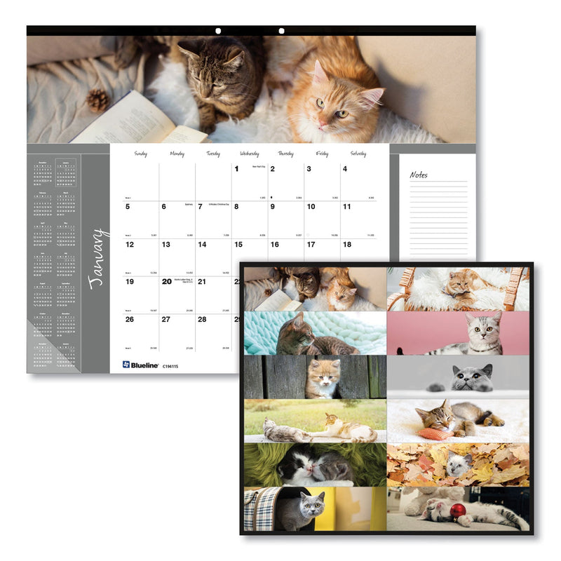 Blueline Pets Collection Monthly Desk Pad, Furry Kittens Photography, 22 x 17, White Sheets, Black Binding, 12-Month (Jan-Dec): 2023