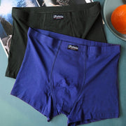 cd0bb6a6bca095880594983e11b3ccb3