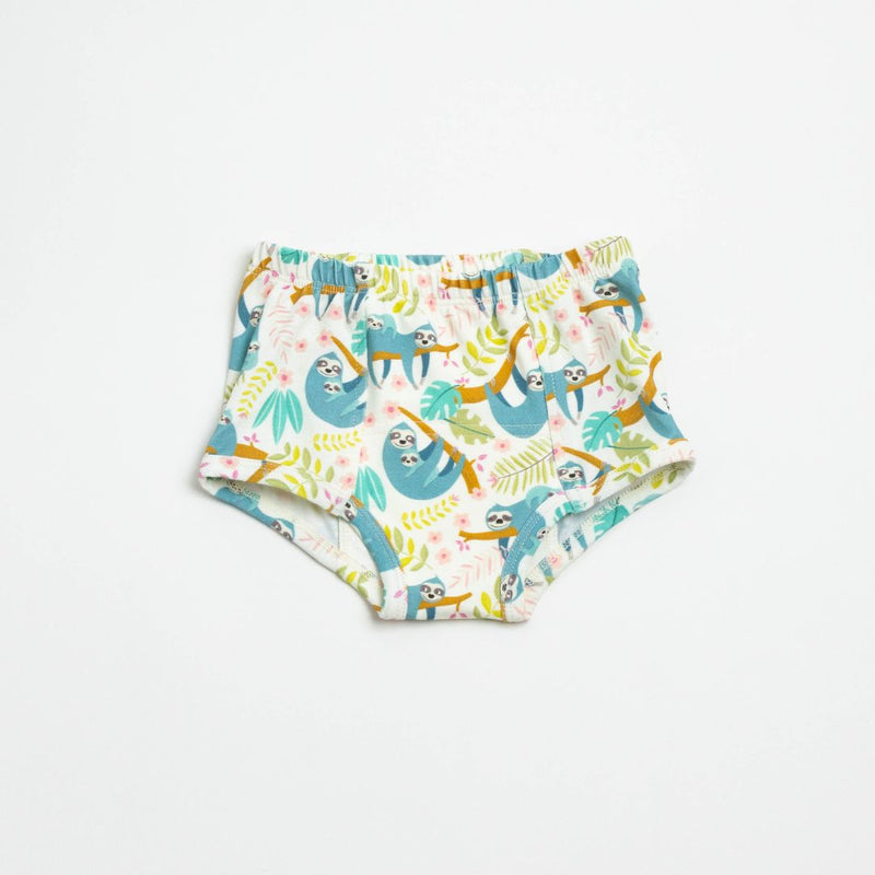 Adventure-Ready Organic Potty Training Underwear (4 Pack)