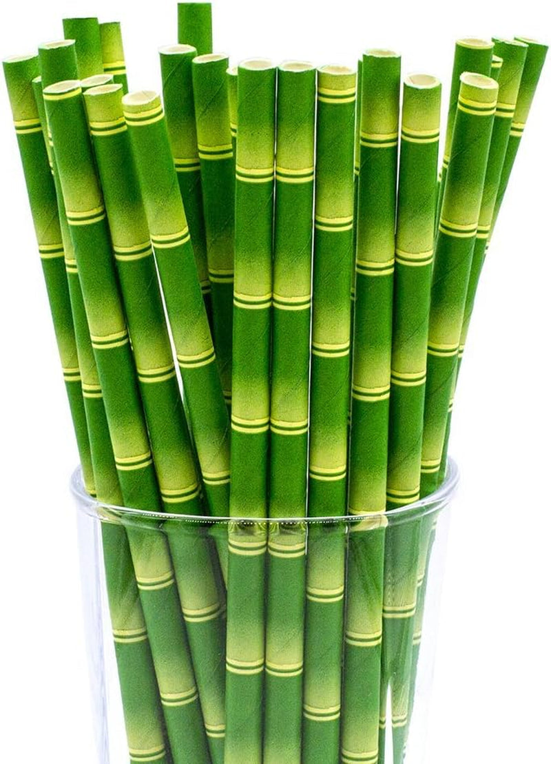 Bamboo Print Biodegradable Drinking Paper Straws for Party Box of 100