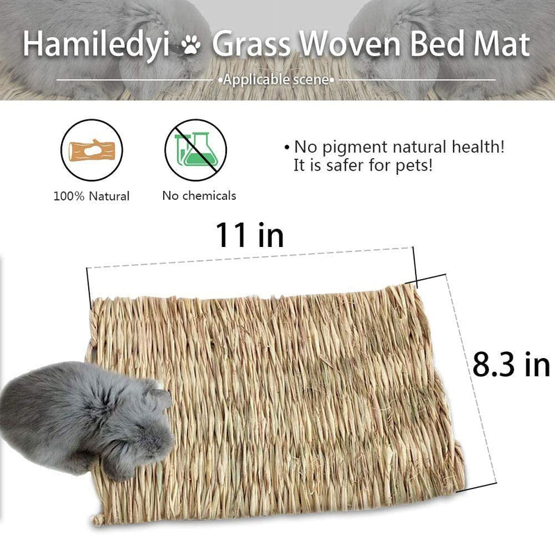 The Ultimate Chew-athon: 12 Grass Mats for Your Furry Friends' Snack Time and Nap Zone!