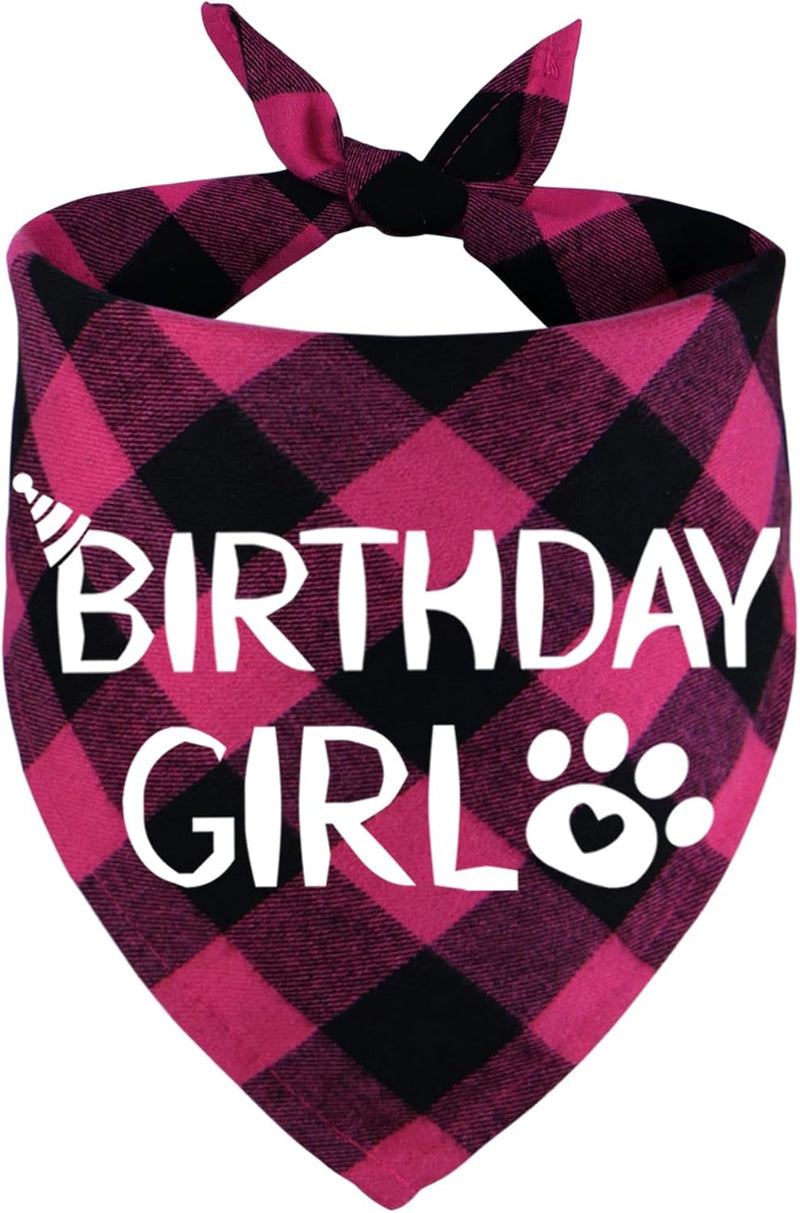 Dog Birthday Bandana – Premium Cotton Birthday Boy Bandana for Dogs