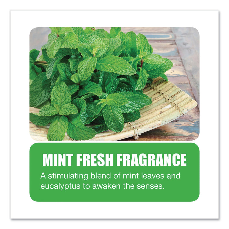 Big D Industries Enzym D Digester Deodorant, Mint, 32 oz Bottle, 12/Carton