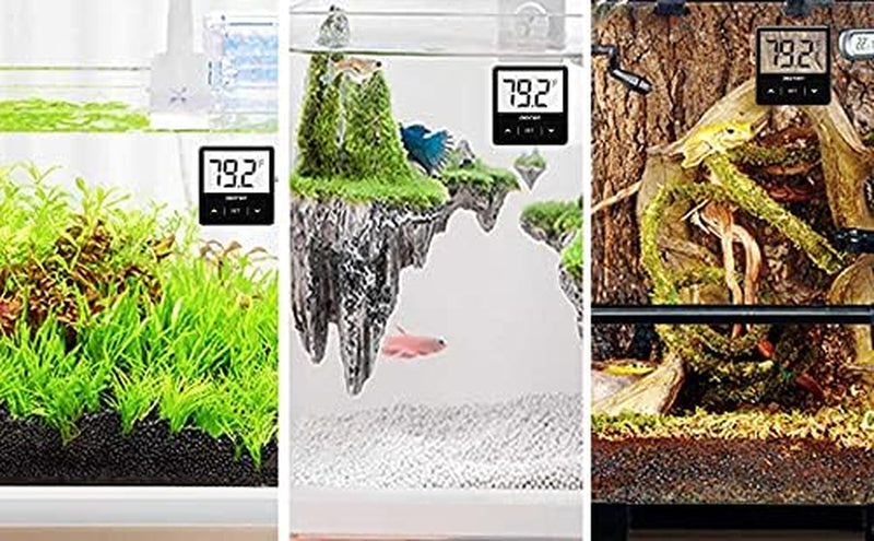 Digital Aquarium Thermometer