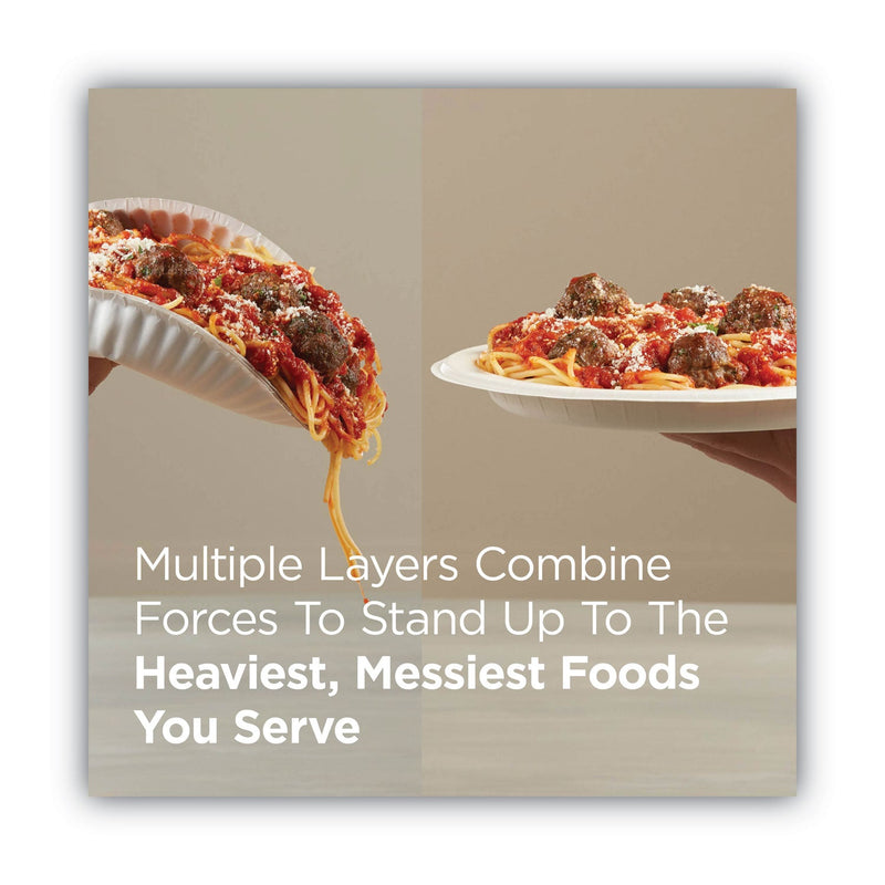 Dixie Pathways Soak Proof Shield Heavyweight Paper Plates, WiseSize, 10.13" dia, Green/Burgundy, 500/Carton