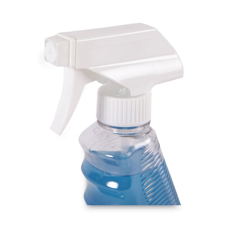 Boardwalk Industrial Strength Glass Cleaner with Ammonia, 32 oz Trigger Spray Bottle
