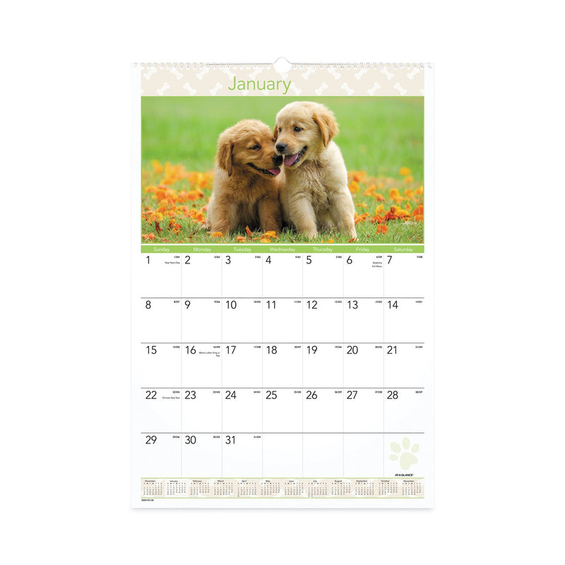 AT-A-GLANCE Puppies Monthly Wall Calendar, Puppies Photography, 15.5 x 22.75, White/Multicolor Sheets, 12-Month (Jan to Dec): 2023