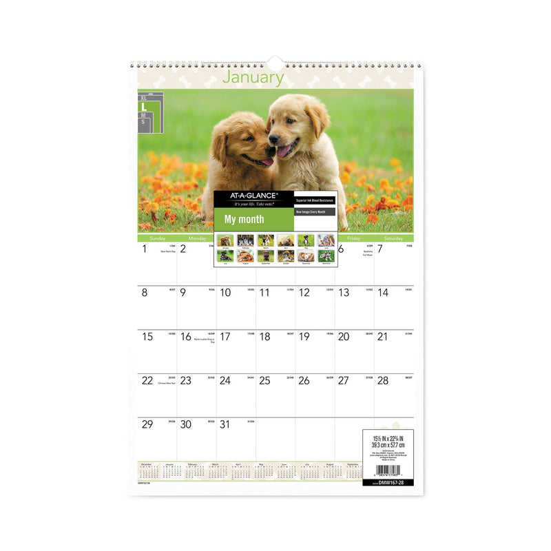 AT-A-GLANCE Puppies Monthly Wall Calendar, Puppies Photography, 15.5 x 22.75, White/Multicolor Sheets, 12-Month (Jan to Dec): 2023