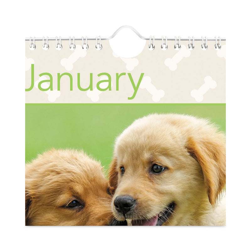AT-A-GLANCE Puppies Monthly Wall Calendar, Puppies Photography, 15.5 x 22.75, White/Multicolor Sheets, 12-Month (Jan to Dec): 2023