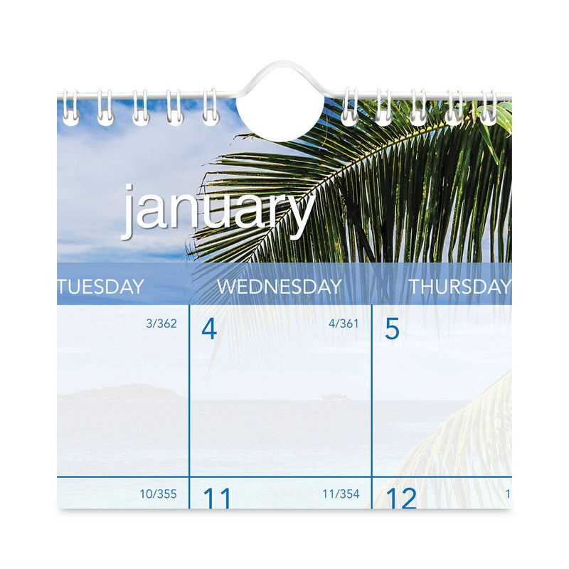 AT-A-GLANCE Tropical Escape Wall Calendar, Tropical Escape Photography, 15 x 12, Pale Blue/Multicolor Sheets, 12-Month (Jan to Dec): 2023