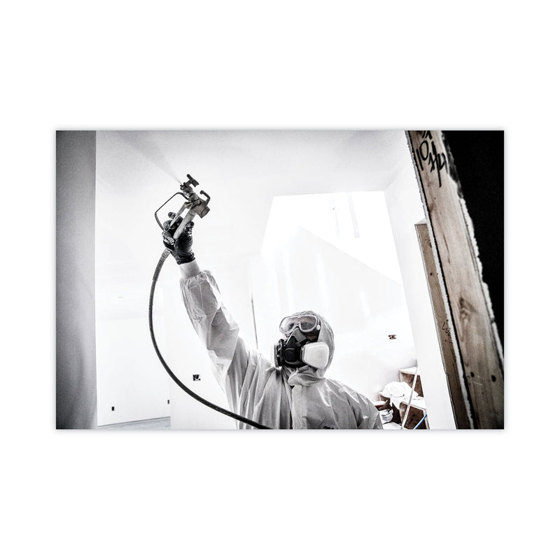 3M Half Facepiece Paint Spray/Pesticide Respirator, Small