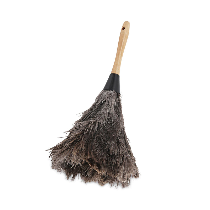 Boardwalk Professional Ostrich Feather Duster, 4" Handle