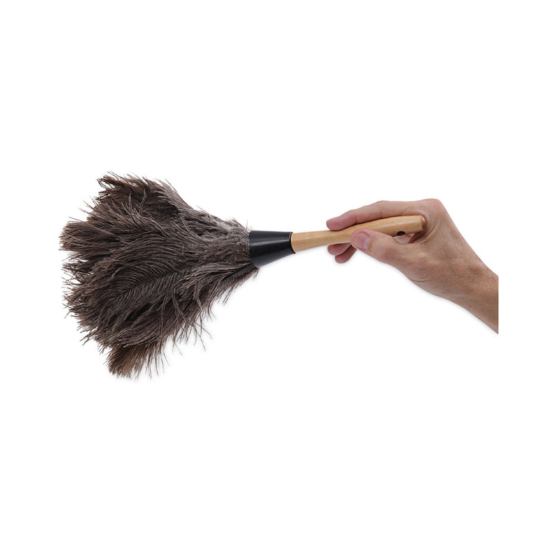 Boardwalk Professional Ostrich Feather Duster, 4" Handle