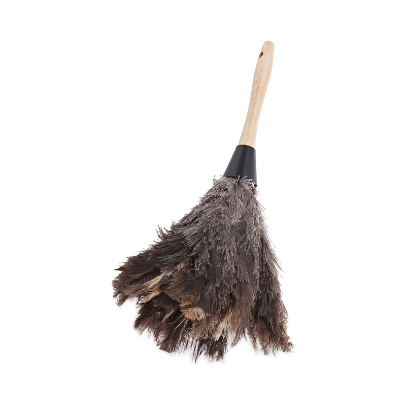 Boardwalk Professional Ostrich Feather Duster, Gray, 14" Length, 6" Handle