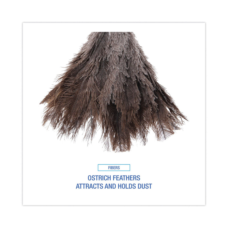 Boardwalk Professional Ostrich Feather Duster, Gray, 14" Length, 6" Handle