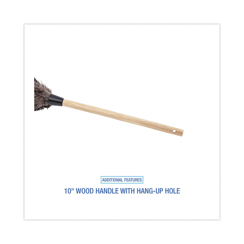 Boardwalk Professional Ostrich Feather Duster, 10" Handle