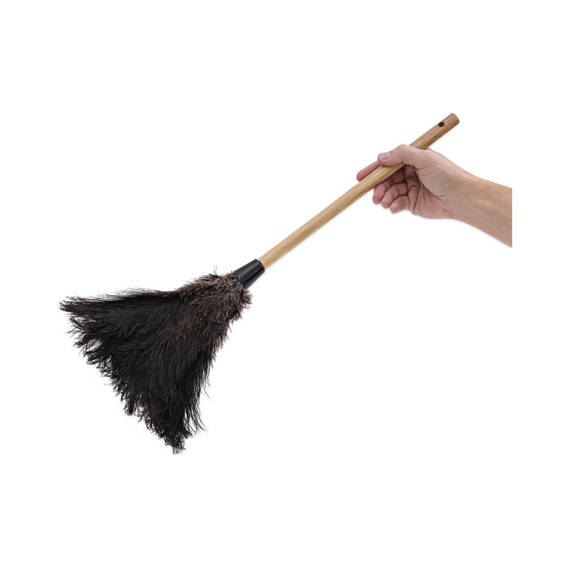 Boardwalk Professional Ostrich Feather Duster, 10" Handle