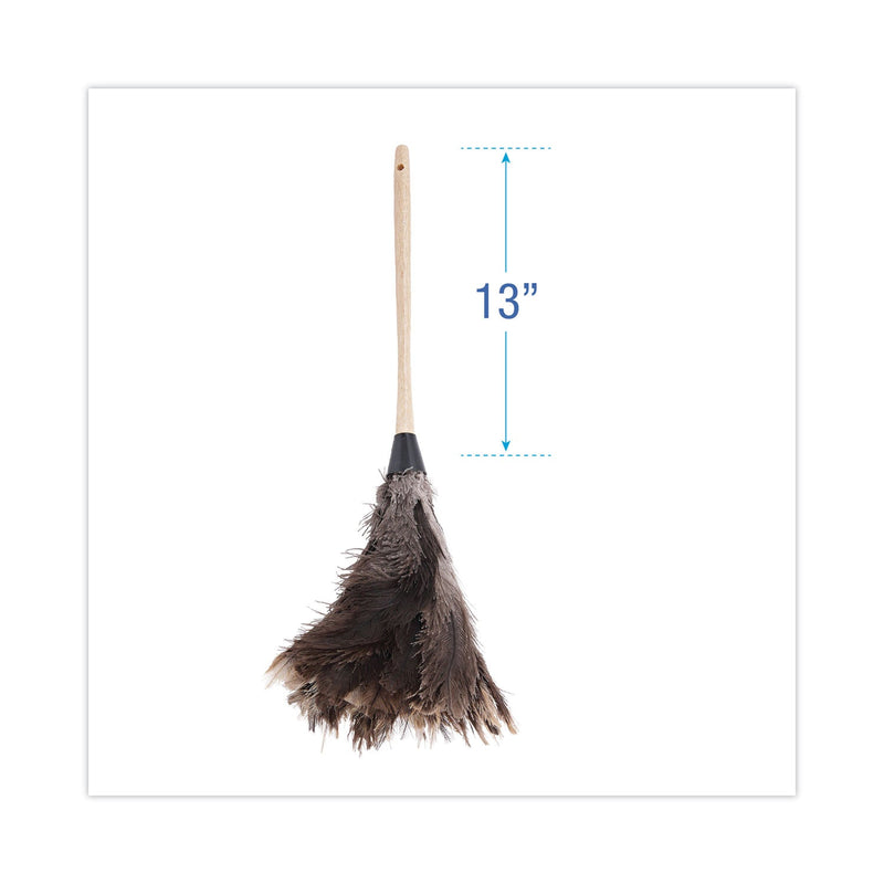 Boardwalk Professional Ostrich Feather Duster, 13" Handle