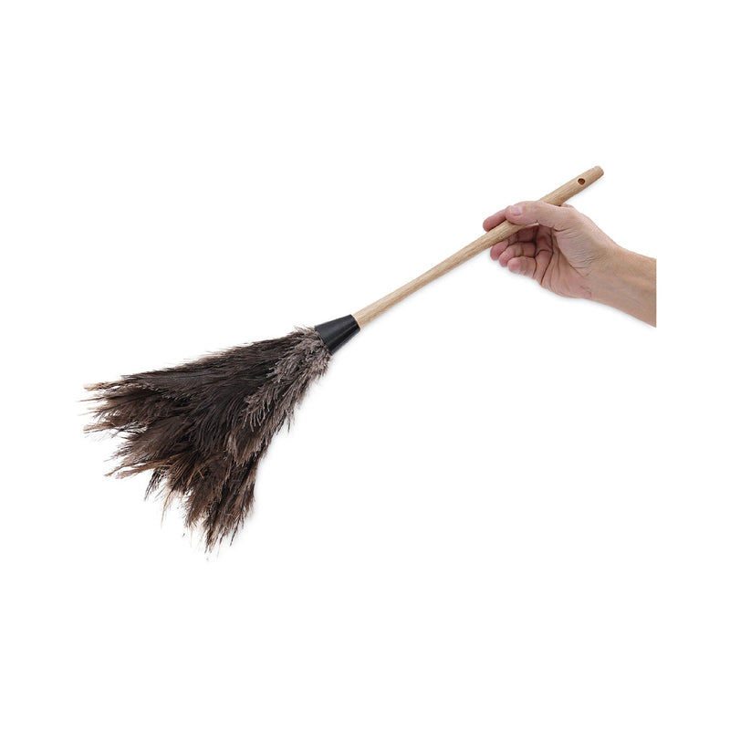 Boardwalk Professional Ostrich Feather Duster, 13" Handle