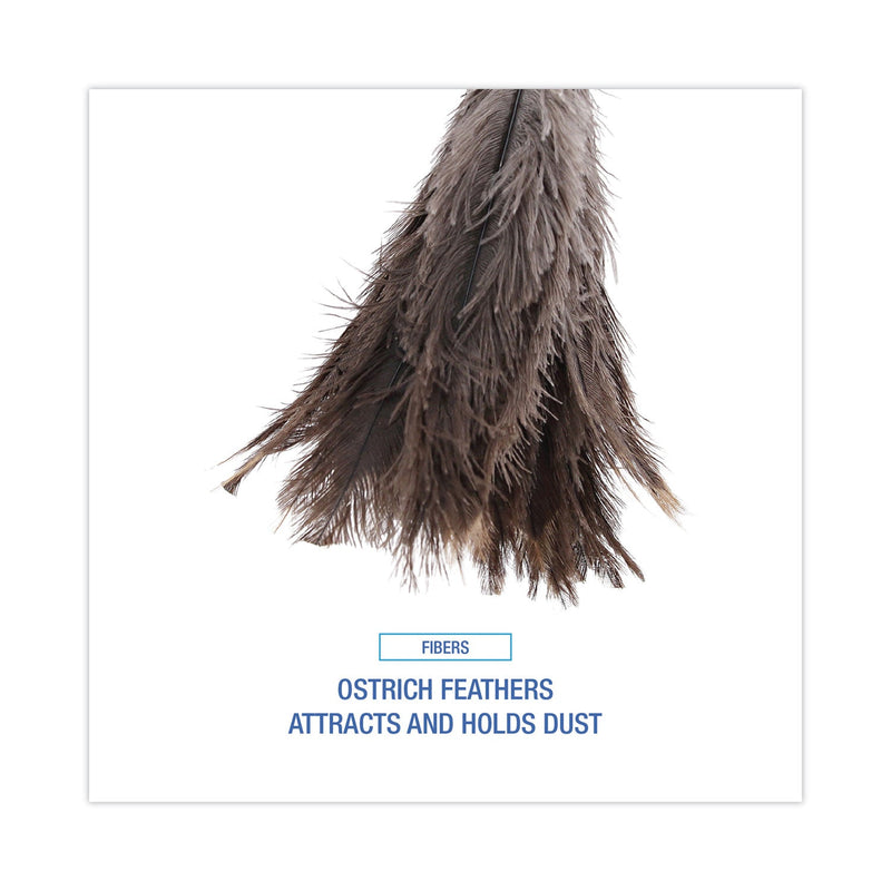 Boardwalk Professional Ostrich Feather Duster, 16" Handle