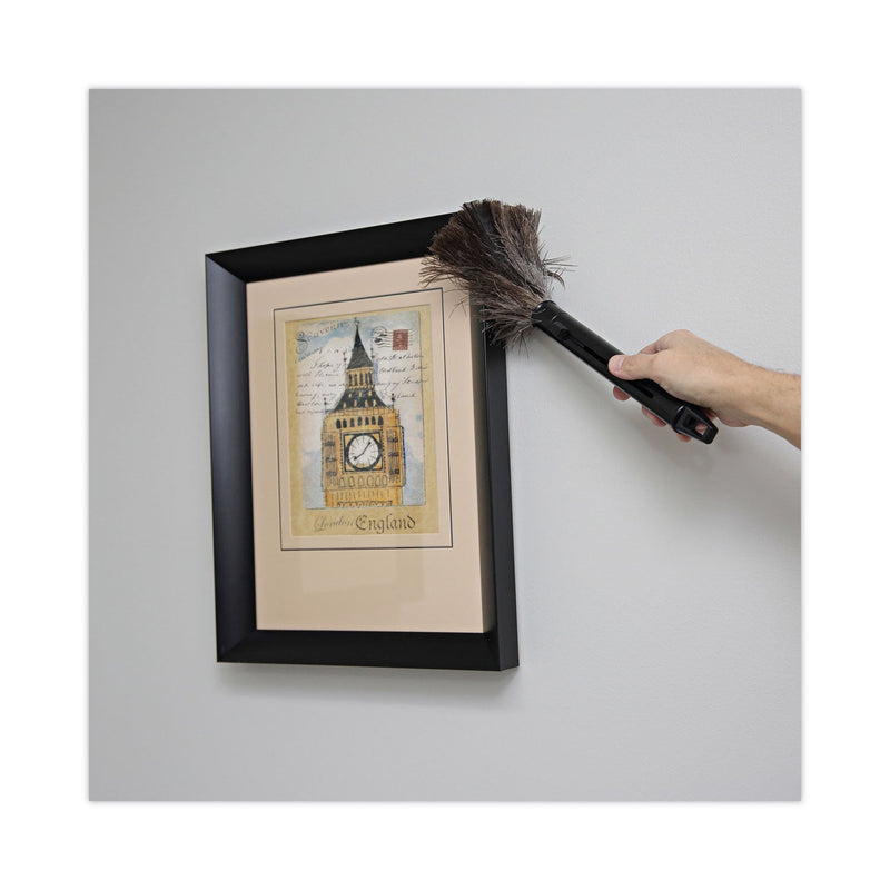 Boardwalk Retractable Feather Duster, 9" to 14" Handle