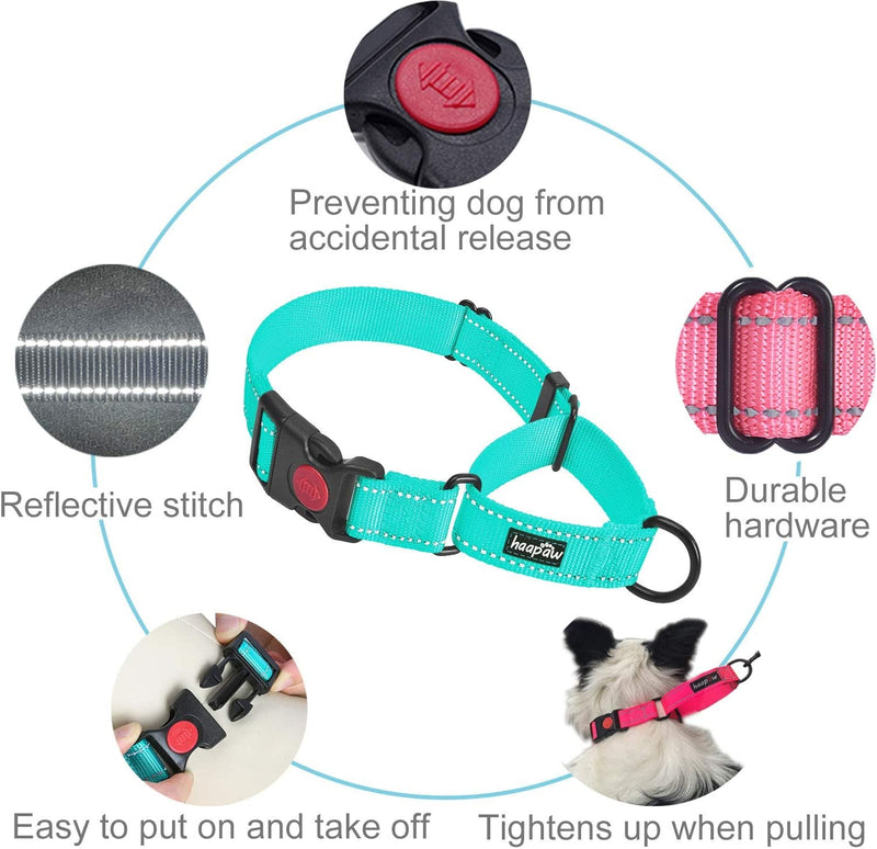 2 Packs Dog Training Collars for Small Medium Large Dogs