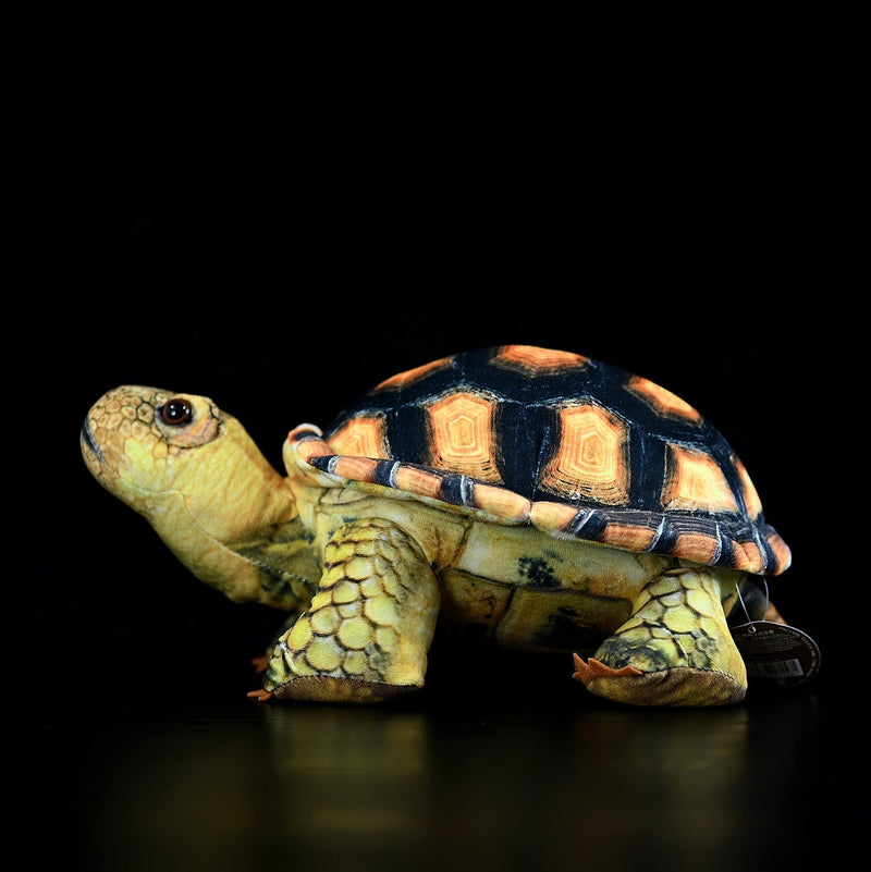 Simulated Land Turtle Doll Cute Turtle Doll Plush Toy