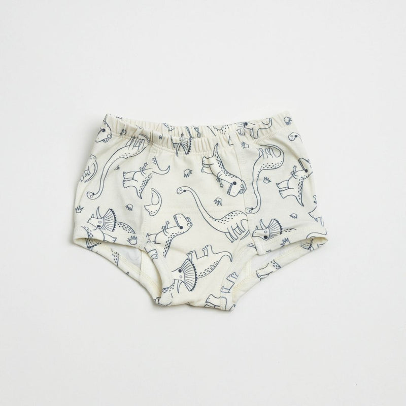 Adventure-Ready Organic Potty Training Underwear (4 Pack)