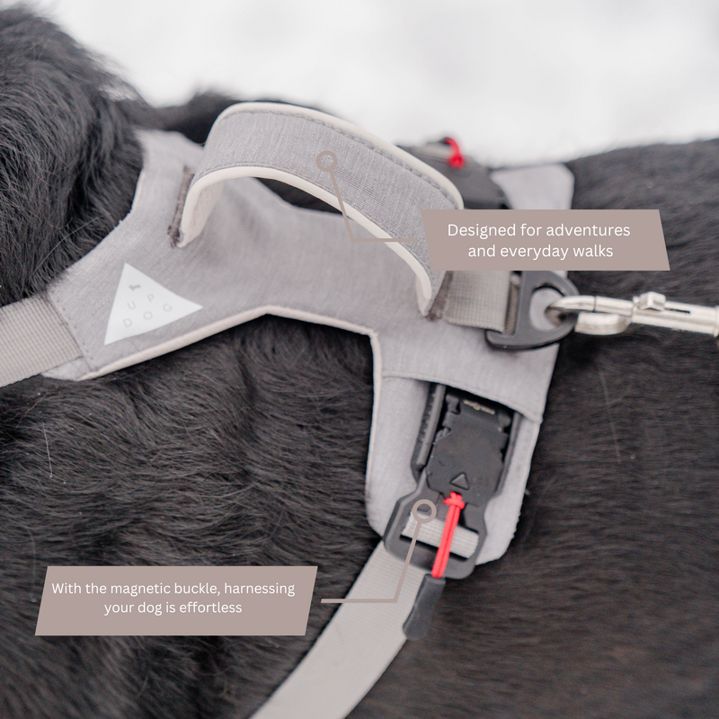 Magnetic Dog Harness with Handle - Easy On, No-Pull Design
