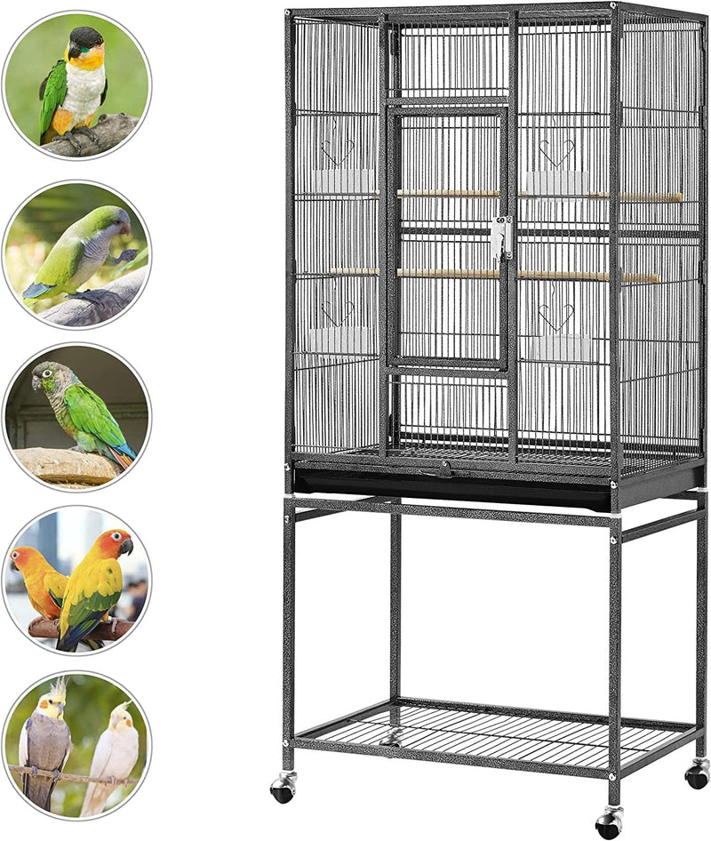 54-Inch Wrought Iron Standing for Large Parrot