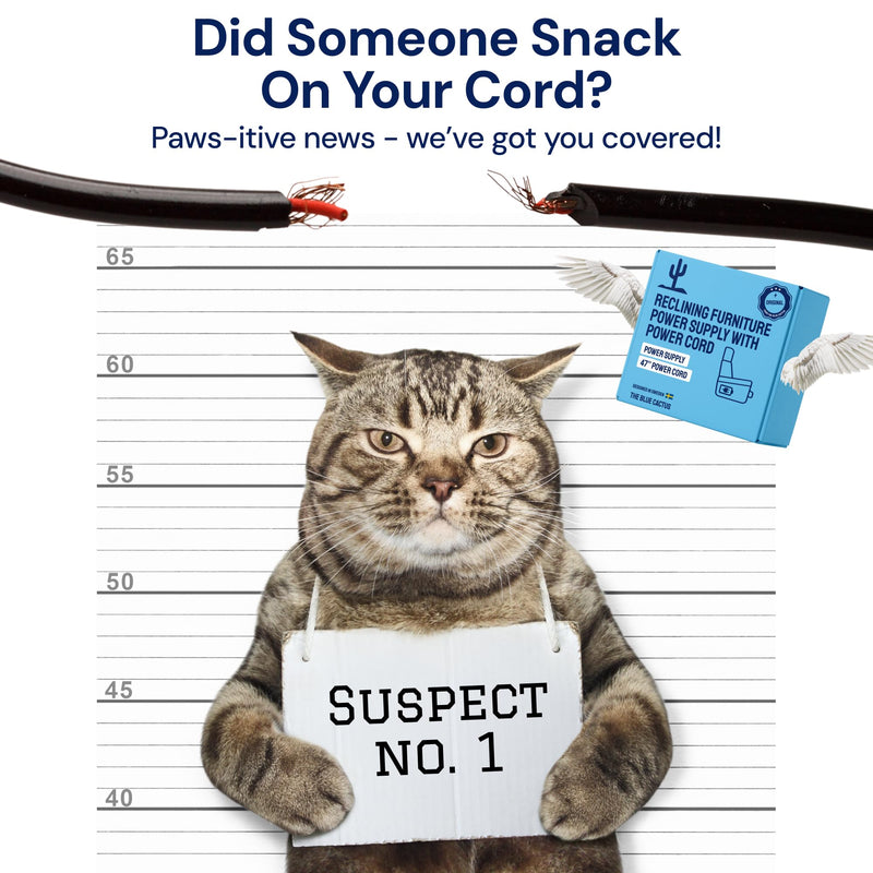 Universal Recliner Power Cord Replacement (2-Pin Adapter)