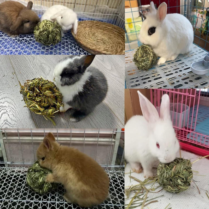 Get Your Furry Friends Hopping with Our Timothy Grass Chew Ball – Perfect Playtime for Bunnies, Hamsters, and Guinea Pigs! 🐰🐹🥳