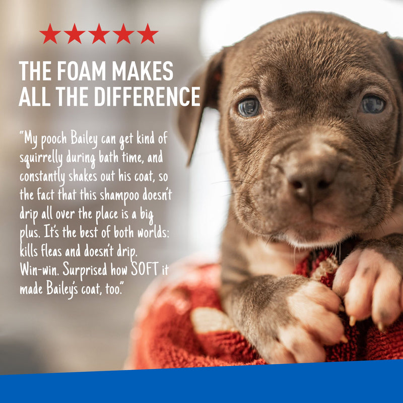 Keep Your Dog Happy and Flea-Free with ADAMS Plus Flea & Tick Foaming Shampoo & Wash - 2 Pack for Sensitive Skin!