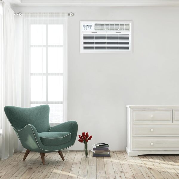 Thru-the-Wall Air Conditioner with Electric Heat 10,000 BTU - 220-240V