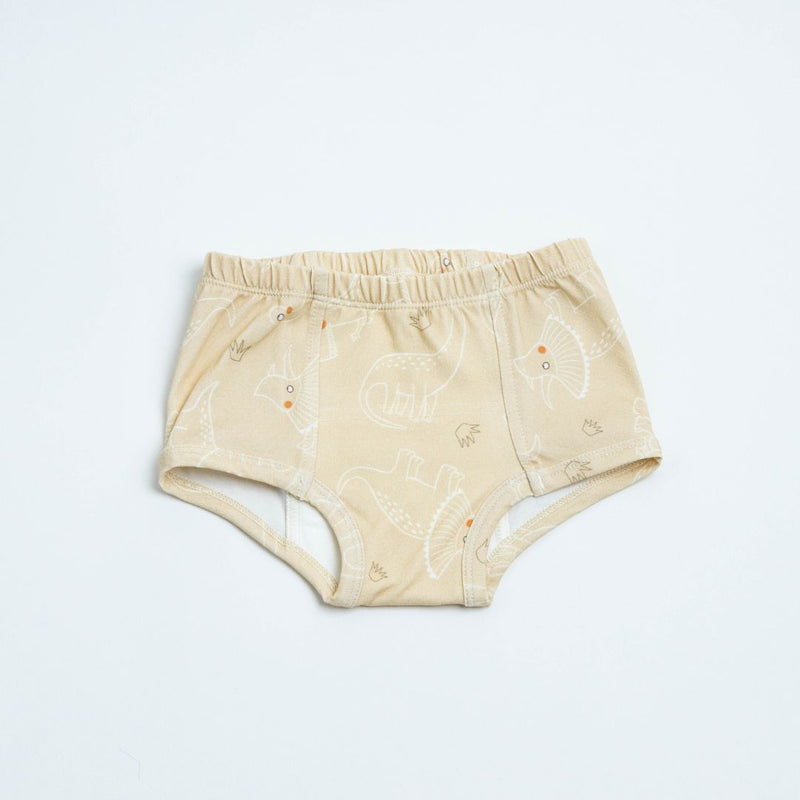 Adventure-Ready Organic Potty Training Underwear (4 Pack)