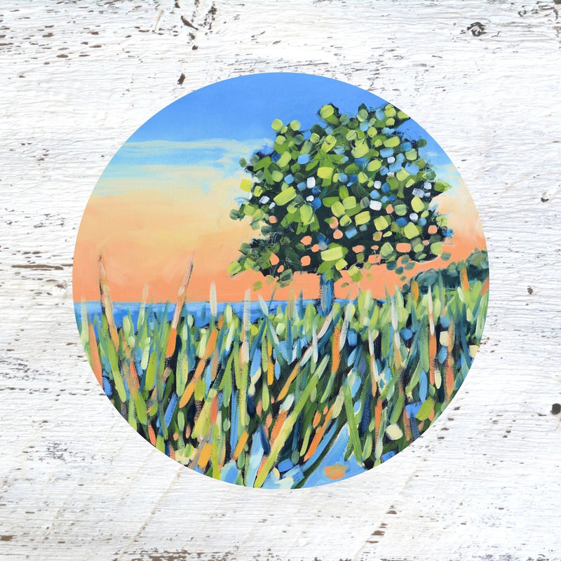 Rubber Grip Jar Opener -Time To Unwind II