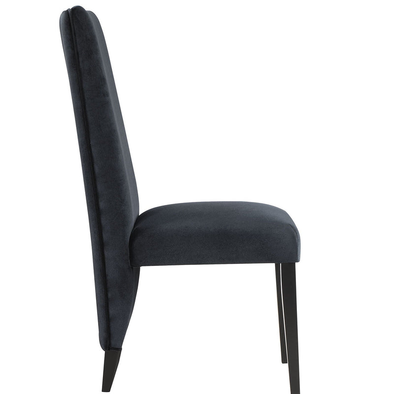 Stacey - Contemporary Dining Chair (Set of 2)