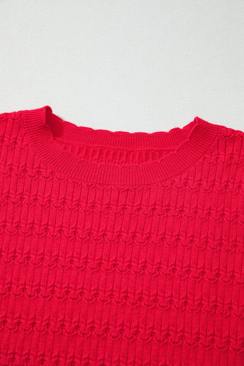 Nellie Knit Ribbed Cuffs Sweater