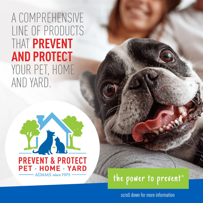 Keep Your Dog Happy and Flea-Free with ADAMS Plus Flea & Tick Foaming Shampoo & Wash - 2 Pack for Sensitive Skin!