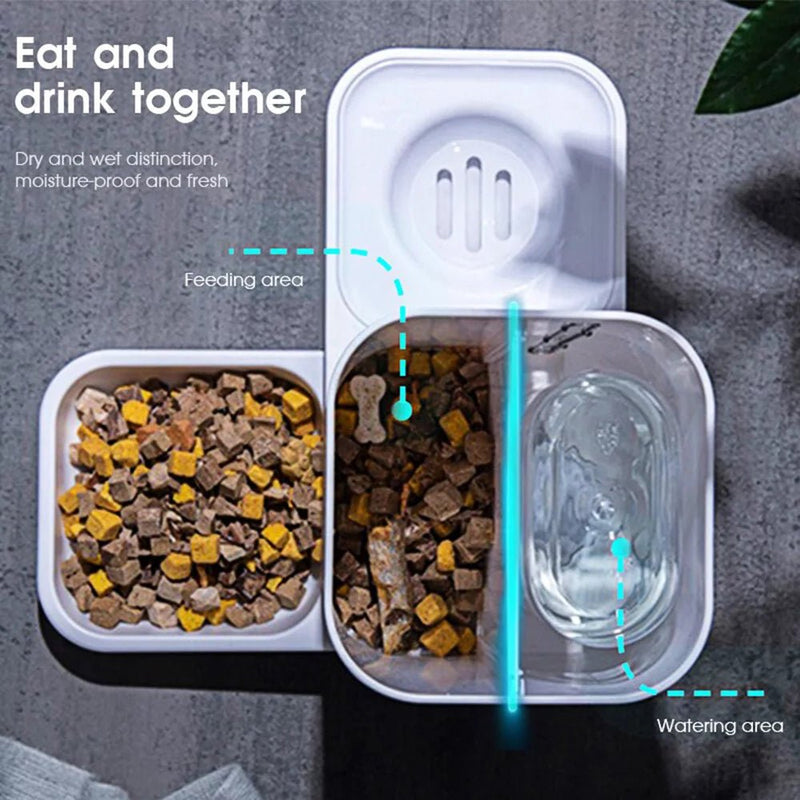 2 in 1 Automatic Auto Pet Feeder