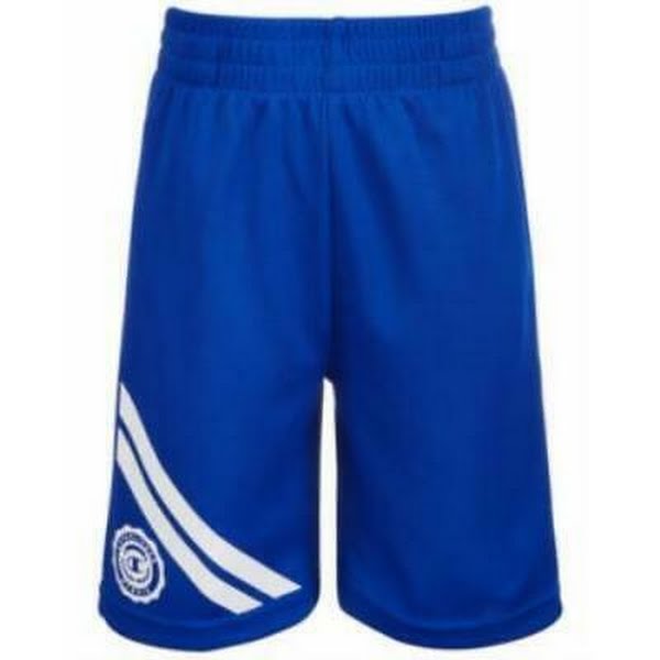 Champion Little Boys Crest Shorts, Size 4