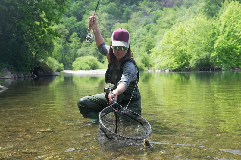 Tungsten Gasolina Perdigon Tactical Jig Euro Nymph Fly - 6 Flies Size 18