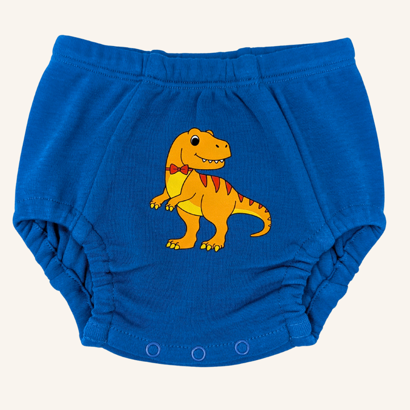 Potty Training Underwear With Adjustable Absorbency