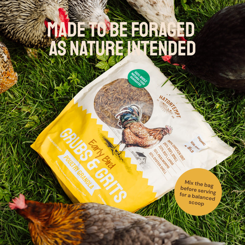 Early Bird Grubs & Grits (Poultry Granola)
