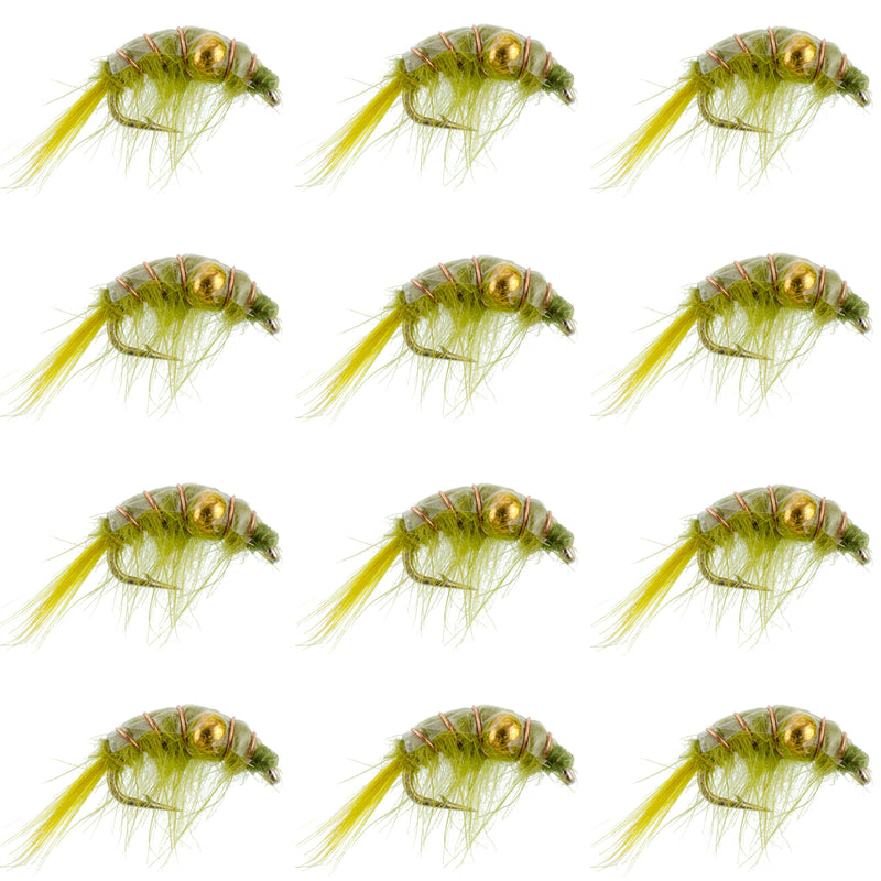 Olive Beaded Shrimp Scud Pattern - 1 Dozen Size 12 - Tailwater Lake Fly Fishing Nymph