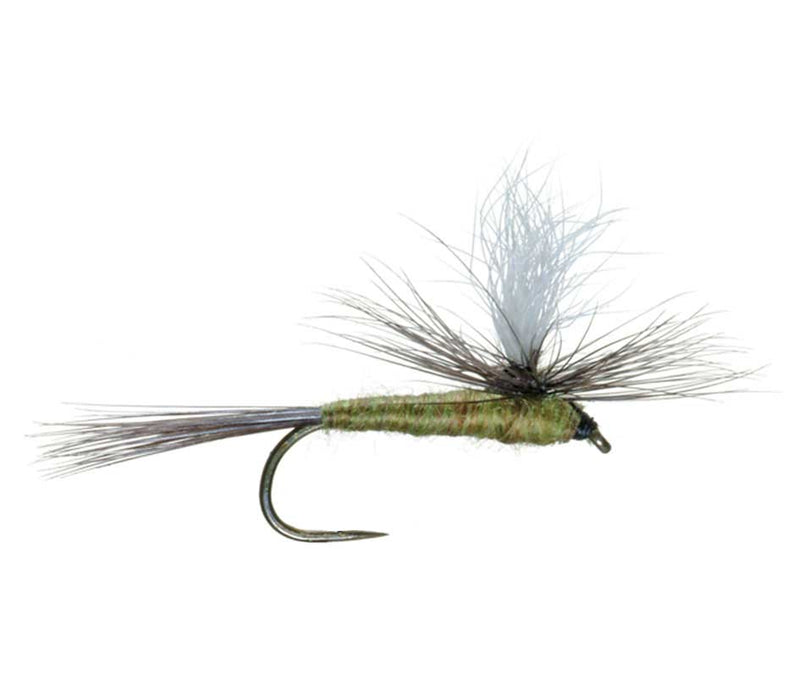 Barbless Parachute Blue Winged Olive BWO Dry Fly - 6 Flies Size 20