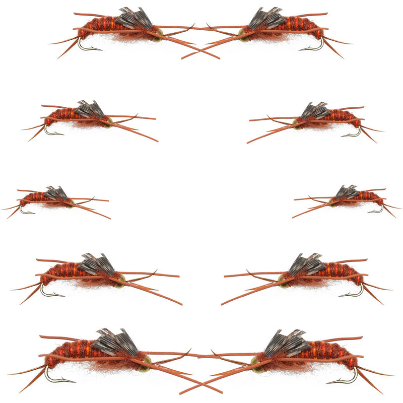 Basics Collection - Kaufmann's Brown Stonefly Kit 10 Flies #Sizes 6-12